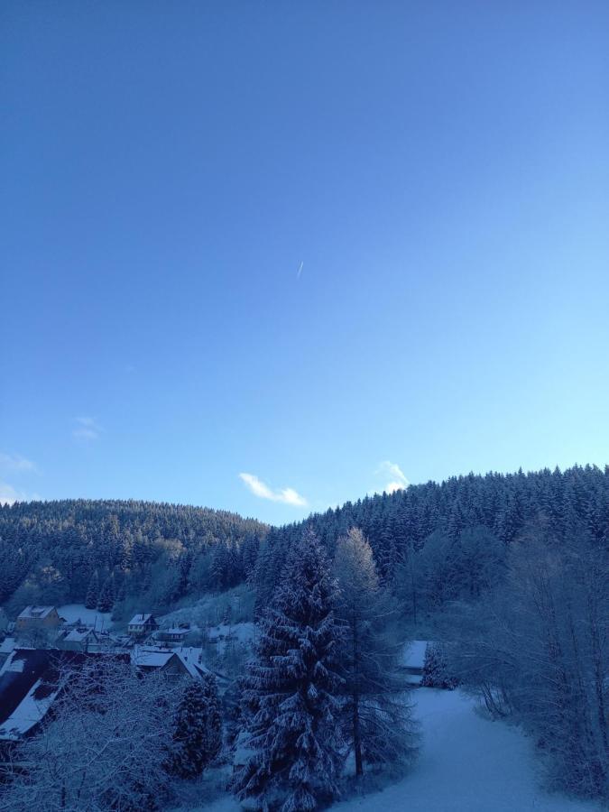Monteurwohnung Aroba Fehrenbach Bagian luar foto