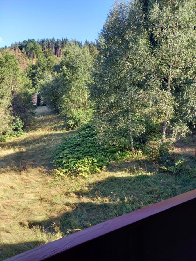Monteurwohnung Aroba Fehrenbach Bagian luar foto