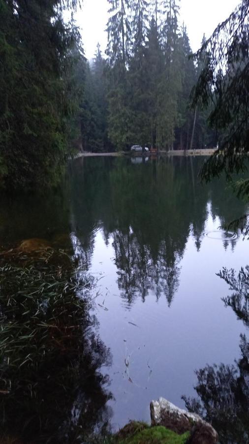 Monteurwohnung Aroba Fehrenbach Bagian luar foto