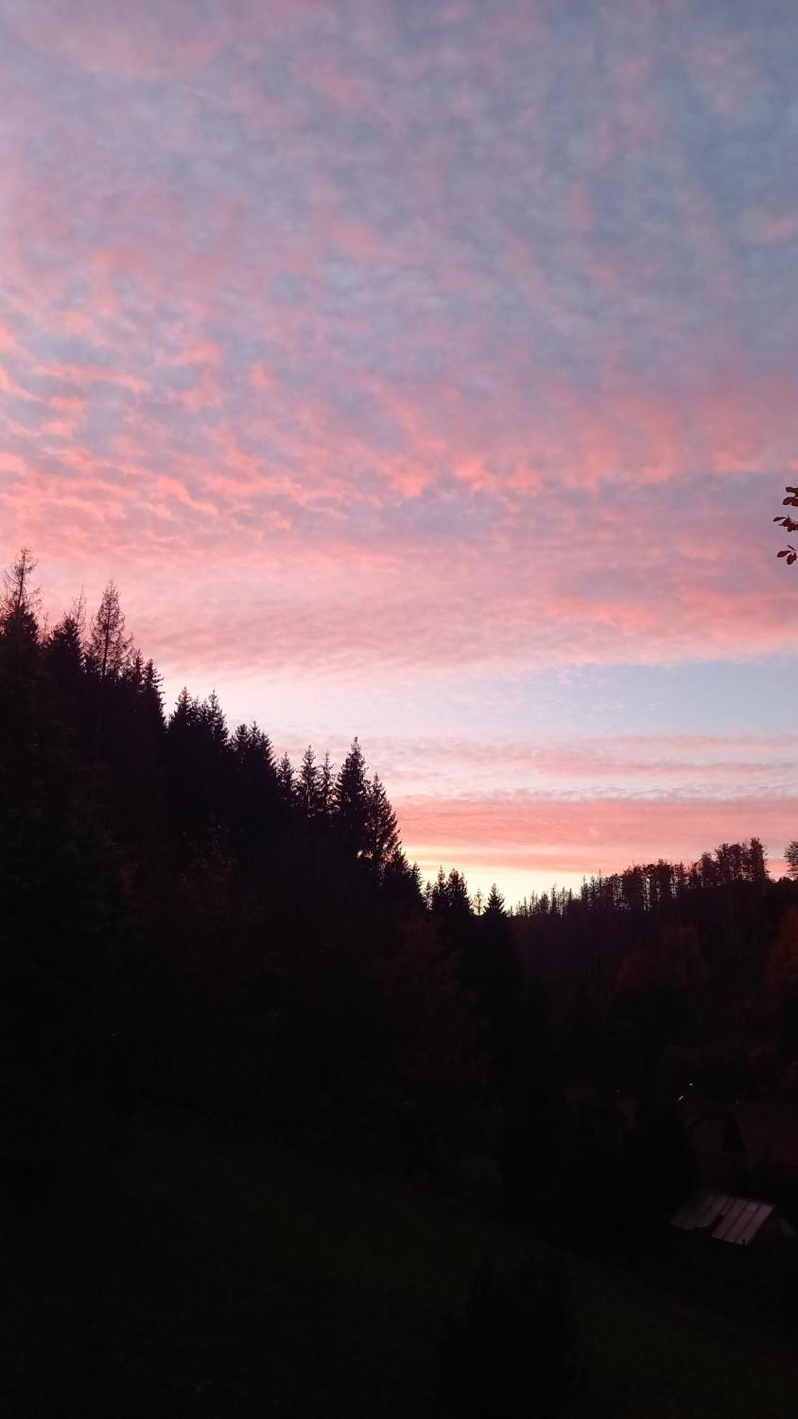 Monteurwohnung Aroba Fehrenbach Bagian luar foto