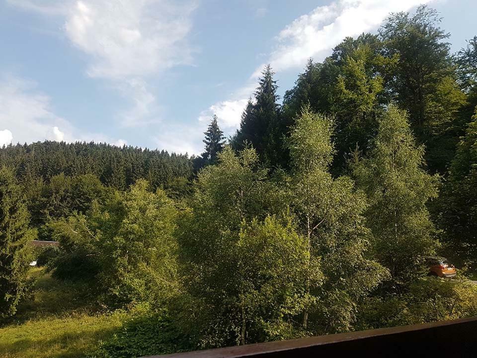 Monteurwohnung Aroba Fehrenbach Bagian luar foto