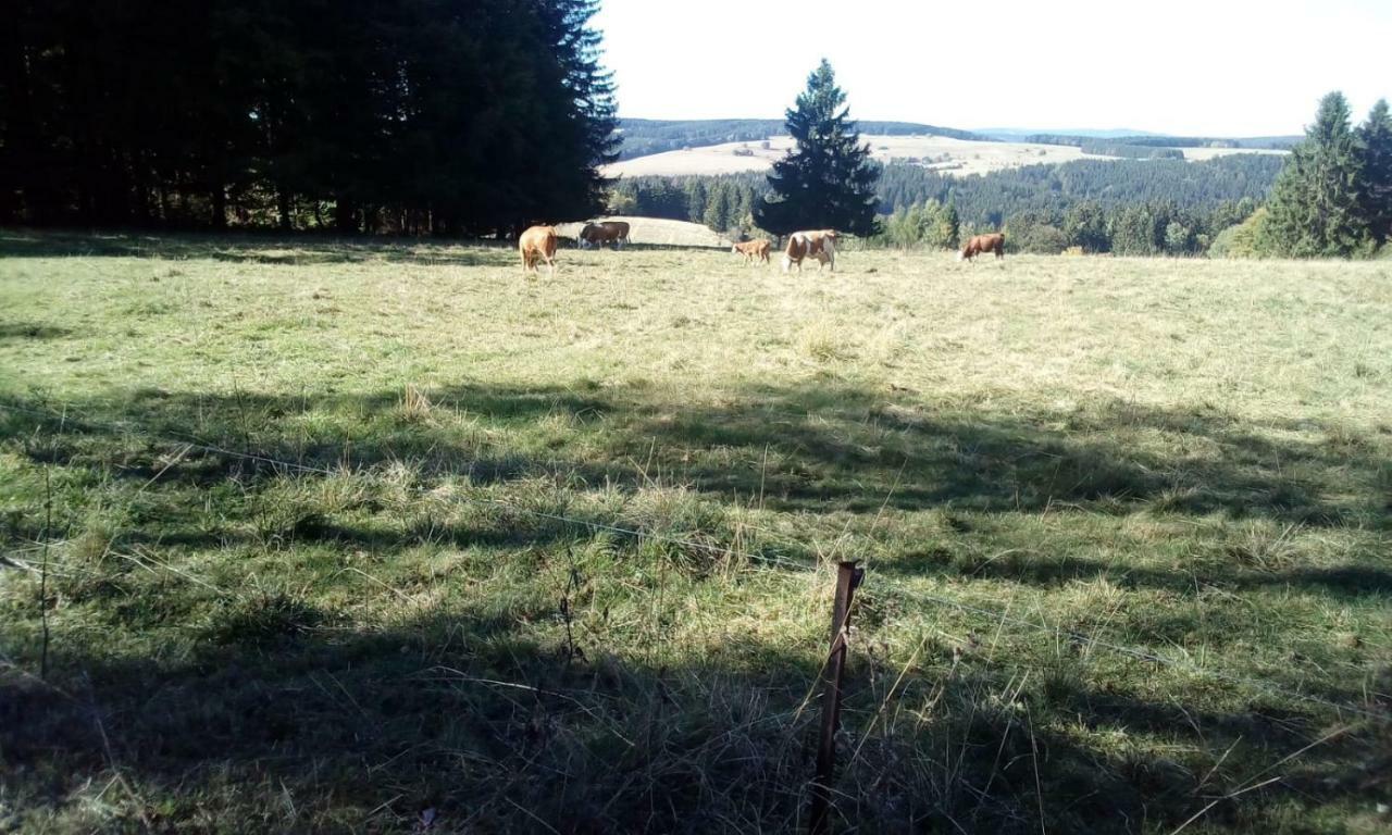 Monteurwohnung Aroba Fehrenbach Bagian luar foto