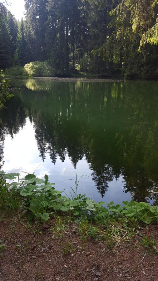 Monteurwohnung Aroba Fehrenbach Bagian luar foto