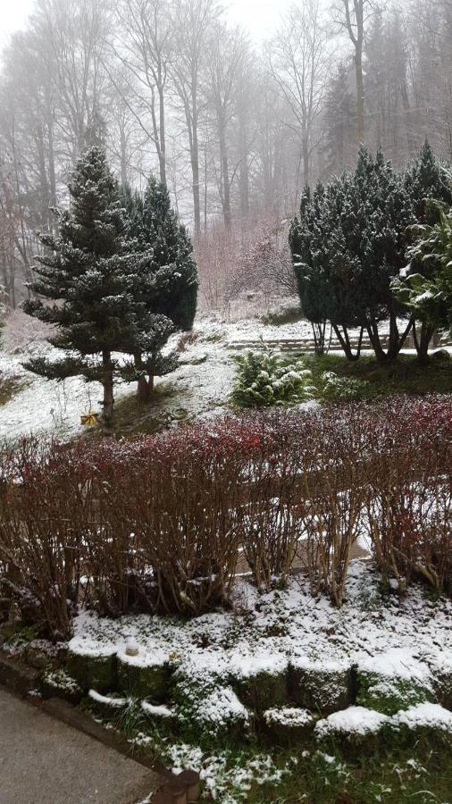 Monteurwohnung Aroba Fehrenbach Bagian luar foto